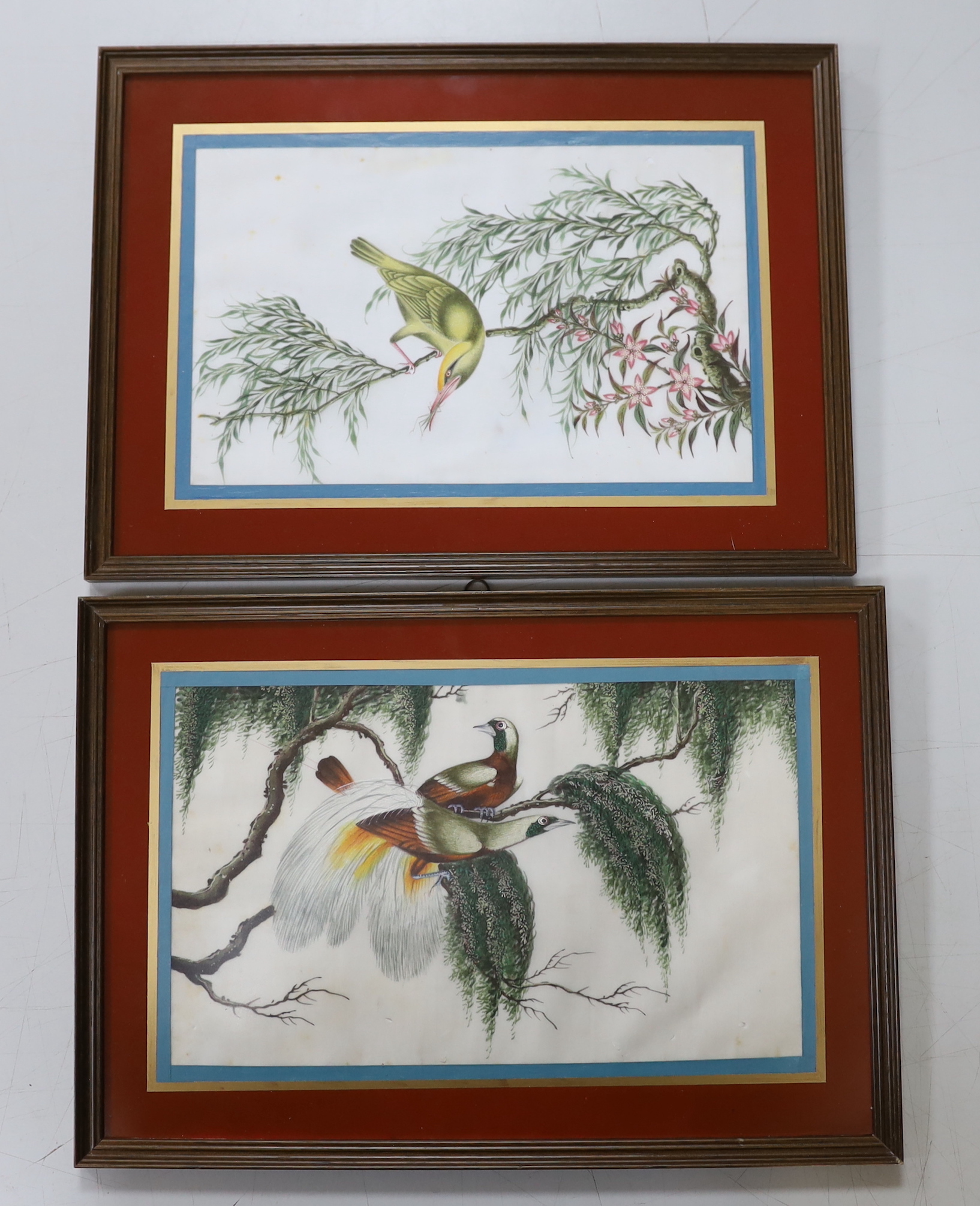 A pair of Chinese pith paper paintings, Birds of Paradise amongst leaves and flowers, 17 x 27cm